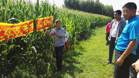 扎賚特新聞網 農業病蟲害防治活動助力糧食安全與農民增收