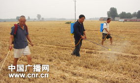 科技驅動農業革新 智能防治病蟲害的新篇章