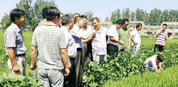 農業專家為淮安農戶講解水稻病蟲害防治技術