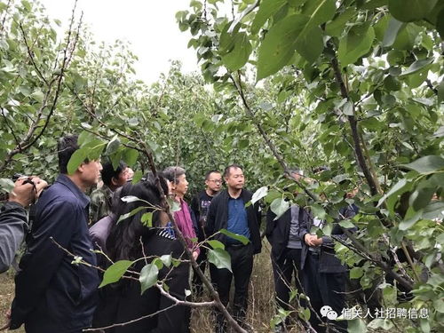 山西省農科院專家蒞臨我縣開展農技培訓暨病蟲害防治指導活動